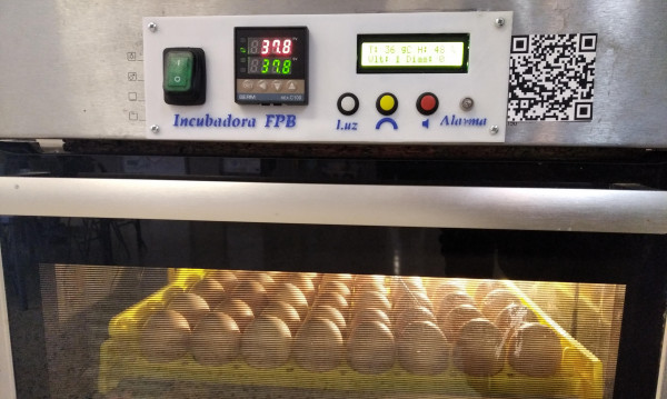 Eggs incubator