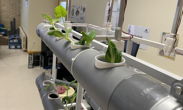 Hydroponic cultivation