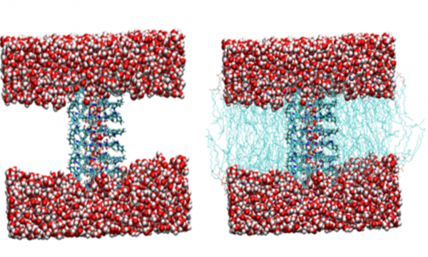 Discovering antibiotics