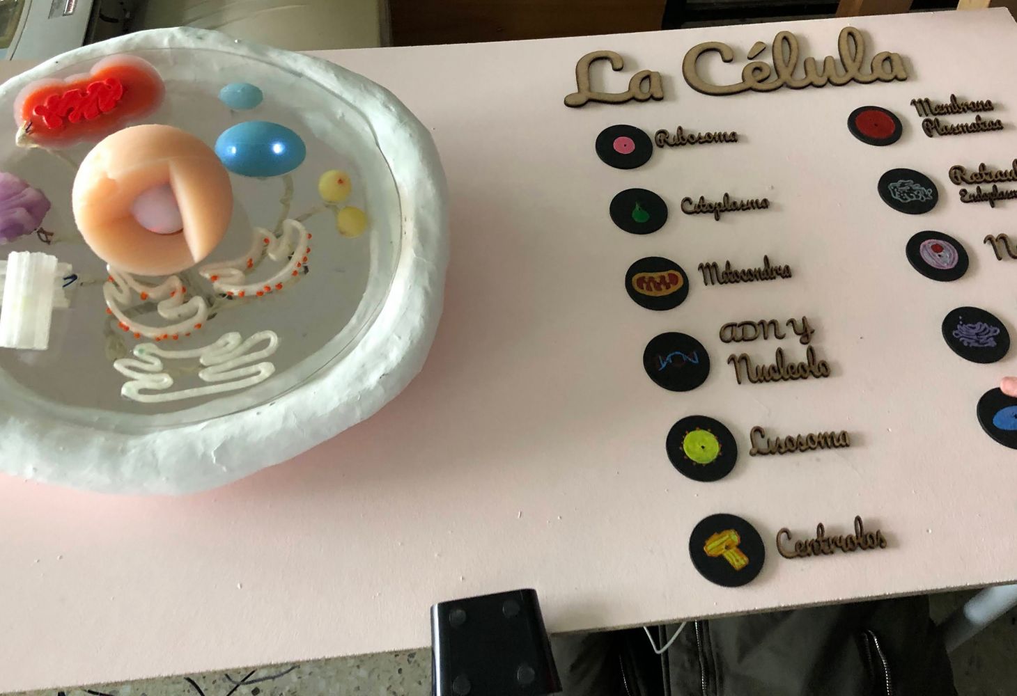 Célula 3D
