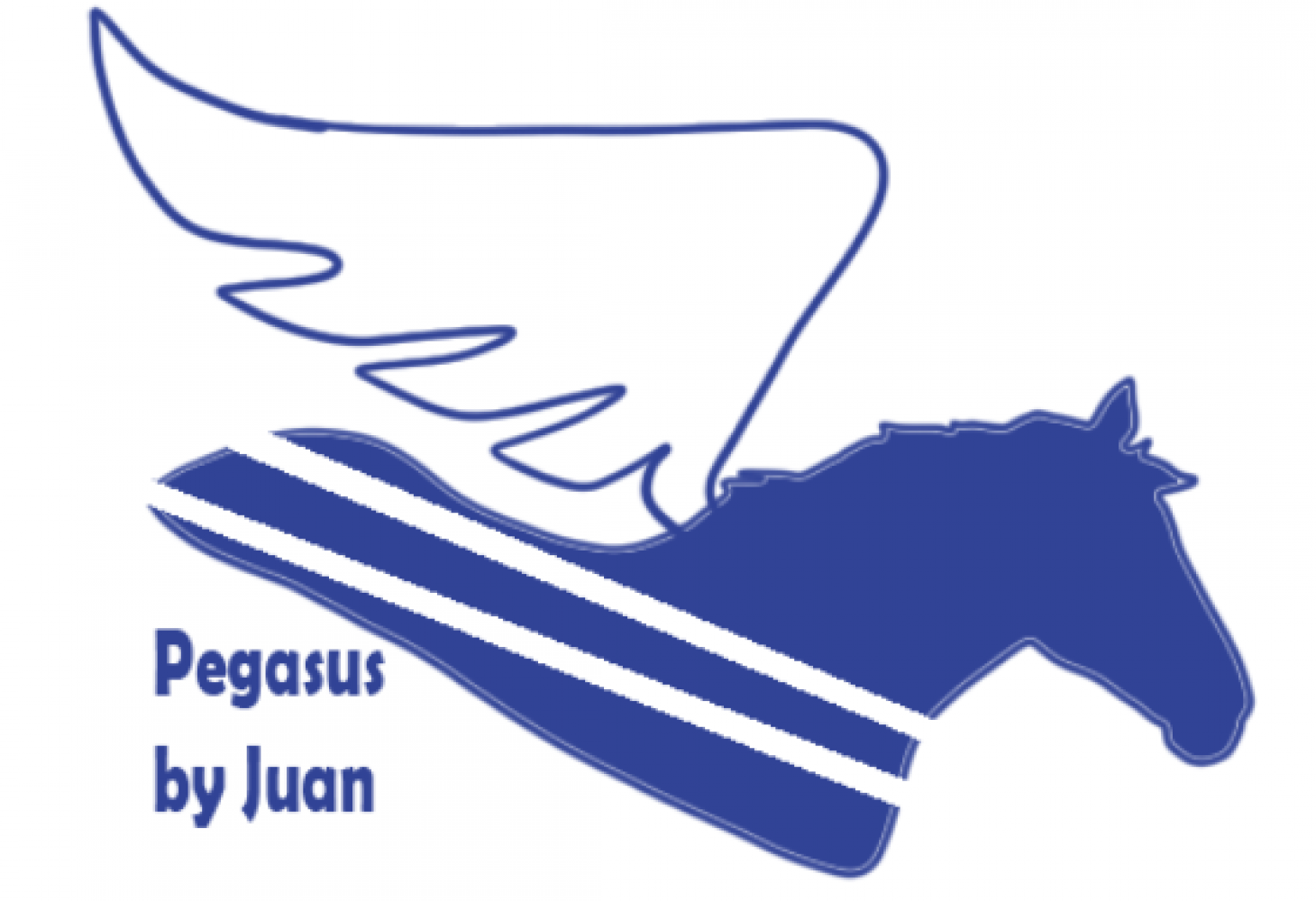 CANSAT - Pegasus by Juan