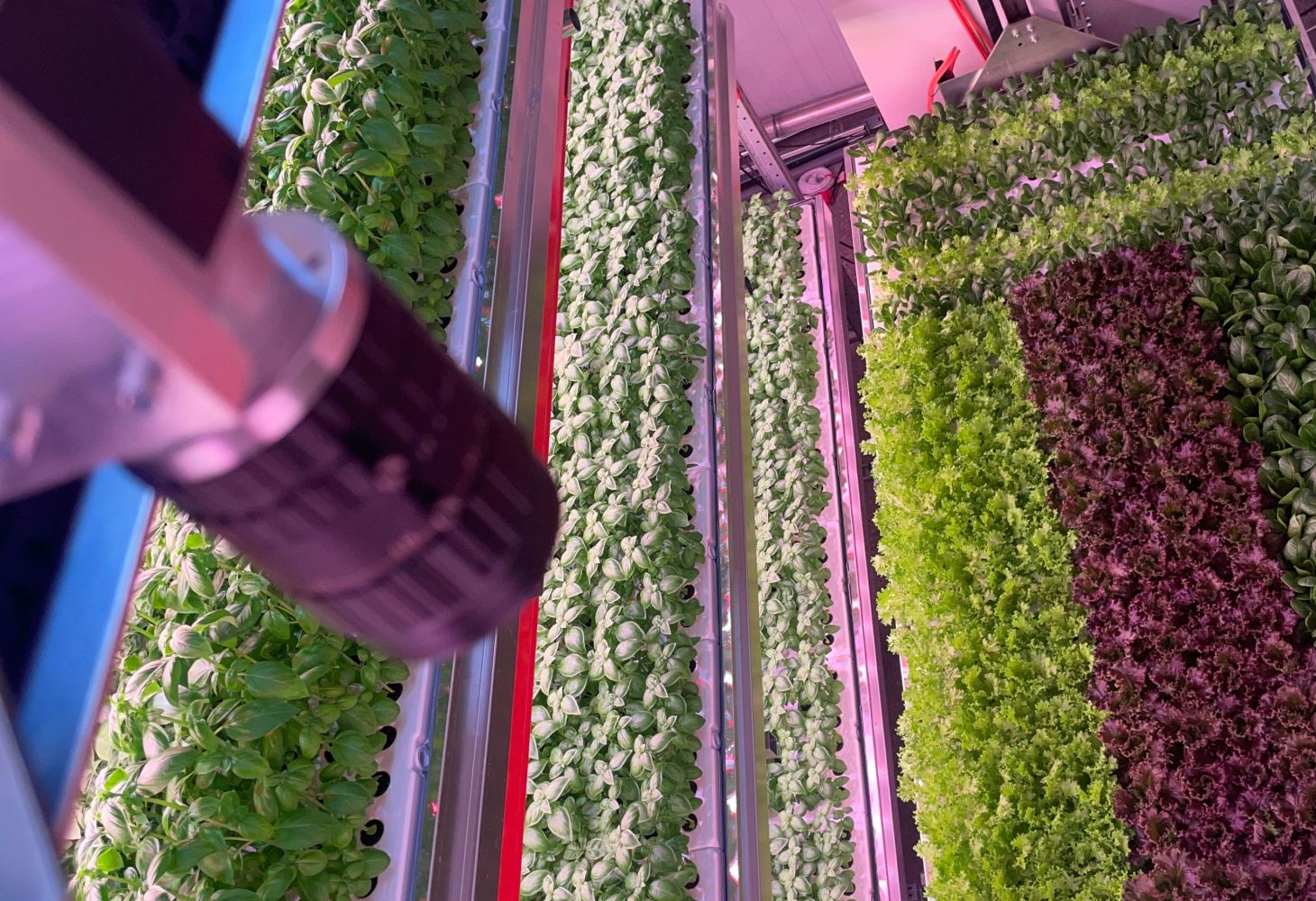 Lean Vertical Farming