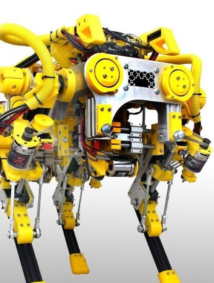 Openrobot, o cadelo robot opensource